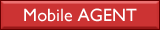 Mobile Agent Websites